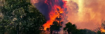 Cartas a Resumen | "Tras el incendio las medidas de reparación alcanzan apenas para asegurar la supervivencia"