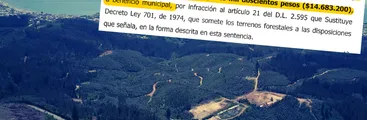 Minera de tierras raras en Penco está condenada por talar plantación forestal sin plan de manejo