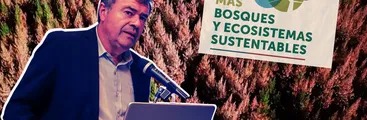 Sin presupuesto específico: Plan "Nuevo Modelo Forestal" del gobierno limita proceso de participación a tres meses