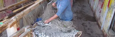Mujeres de la pesca artesanal y actividades conexas exponen su realidad y demandas en caleta Portales 