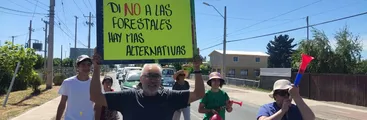 Vecinos de Celulosa Nueva Aldea en Quillón denuncian malas prácticas de Forestal Arauco y afectación por incendios forestales