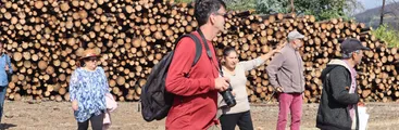 Organizaciones internacionales recogieron evidencias de impacto del monocultivo forestal en el centro-sur de Chile