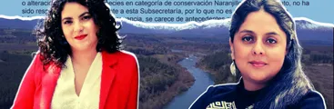 Ministerio de Desarrollo Social respaldó interés nacional de Central Rucalhue sin pronunciarse sobre posibilidad de nueva consulta indígena