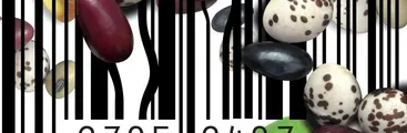 Declaración en rechazo a resolución N°162 de Minagri sobre Semilla Tradicional