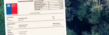 Minera de tierras raras intentó registrar nombre de organización que trabaja desde hace casi 10 años en preservación de monumento natural