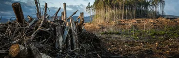 OPINIÓN| La tierra está en riesgo ¡Inversiones para la agricultura orgánica ahora!