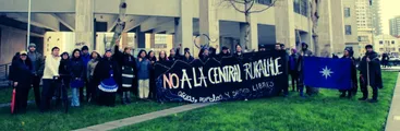 Corte de Concepción declara admisible recurso contra Conaf por permitir a Central Rucalhue intervención de especies protegidas sin consulta indígena
