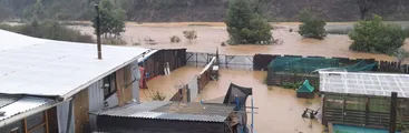 Curanilahue: "Nuestro problema más grave es que la industria forestal no quiere ceder terreno para viviendas"