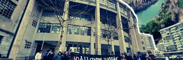 Dardos a Conaf: Presentan recurso en su contra por permitir a Central Rucalhue intervención de especies protegidas sin consulta indígena