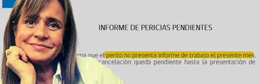 Jacqueline van Rysselberghe no habría entregado informe de pericias para las que fue contratada durante su primer mes de trabajo en el SML