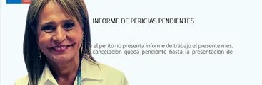 Pese a estar en su contrato: Jacqueline van Rysselberghe no entregó informes de pericias durante sus dos meses de trabajo en el SML
