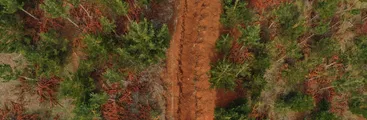 Forestal Arauco implementa nueva y peligrosa práctica: Enormes zanjas con desconocidos impactos socio ecológicos