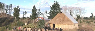 Denuncian hostigamiento de Forestal Mininco y amenaza de desalojo a familias mapuche en Ranquilhue, lago Lleu-Lleu.