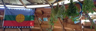 "Nos parece una falta de respeto": Agrupación mapuche de Laja denuncia que consultora de CMPC fotografió y expuso ruka sin su consentimiento.