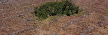 Una vida digna y en armonía con la Naturaleza requiere empresas honestas y un Estado que proteja el bien común