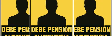 Candidatos rechazados por ley 'Papito Corazón' en Biobío: Partidos Social Cristiano, Republicano y Radical lideran la lista