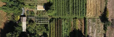 Küme Ülmen: Defensa y desarrollo económico desde Wallmapu