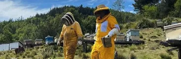 Agrupación Apiconce invita a curso de iniciación a la apicultura en la Región del Biobío