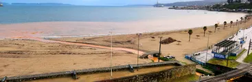 CARTAS A RESUMEN| Penco: las evidentes consecuencias del suelo maltratado en nuestros cerros