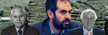 Más Pino y eucalipto para Biobío: Plan de Reconversión se somete al gran empresariado forestal
