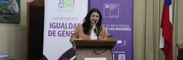 Alarma en La Araucanía: 4 femicidios consumados y 27 frustrados en lo que va del año