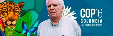 Biodiversidad amenazada: asimetrías ecológicas y económicas, condicionalidades desarrollistas y opciones alternativas