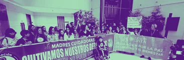 Tribunal de Chillán absuelve a paciente con lupus de cargos por cultivo de cannabis medicinal