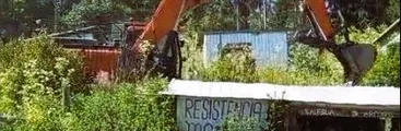 En vísperas de Navidad: Forestal Arauco y Carabineros desalojan comunidad Laurelia Arcoíris de Tomé pese a acuerdo de espera con Serviu ante la llegada de subsidios de arriendo
