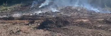 Incendio que amenazó Parque Nacional Nonguén inició en predio donde Arauco mantiene desechos forestales