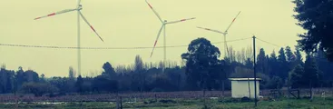 Negrete: Superintendencia del Medio Ambiente inició proceso sancionatorio contra empresa eólica alemana tras afectación a murciélagos