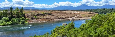 Ingresan recurso de invalidación contra decisión de CONAF de declarar Central Rucalhue como proyecto de interés nacional