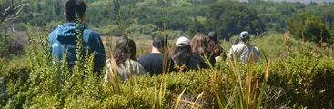Parque Museo Pedro del Río Zañartu activa programación familiar con foco en la biodiversidad y la divulgación en ciencias para este verano 2025