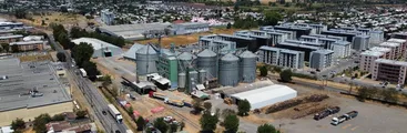 Productores de trigo de Ñuble acusan que «COTRISA es un chiste»