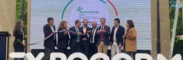 Empresas forestales se benefician con más de $70 mil millones gracias a subvenciones de CORFO y exenciones tributarias por Ley I+D
