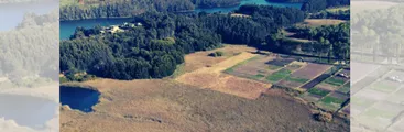 ¿Ciudad Santuario, quien se hace cargo? Grave abandono en Ecosistema Laguna Grande-Humedal Los Batros