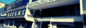 Corte Suprema confirma despido injustificado de trabajadora a honorarios con 10 años de servicio en la Municipalidad de Temuco