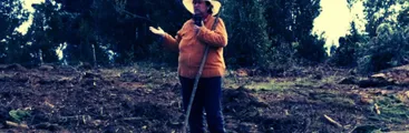 Pese a cumplirse plazo de investigación anciana mapuche sigue presa en Temuco: Suprema revisará el martes amparo en su favor