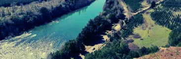 Comunidades de Alto Biobío acusan omisión de información ante debate público por construcción de Central Rucalhue