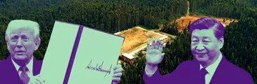Tierras raras: los tentáculos geopolíticos que salpican al proyecto en Penco