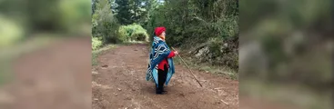Anciana mapuche perseguida por el gobierno y las forestales: "El día que me despojen de mi territorio será el día de mi muerte"