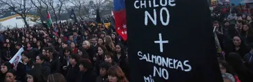 El Mayo Chilote y la catástrofe salmonera que aún espera justicia
