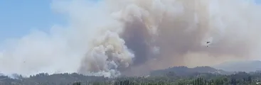 "Somos David contra Goliat": Familias de Quillón acusan responsabilidad de Forestal Arauco por la destrucción sufrida en megaincendio de 2023