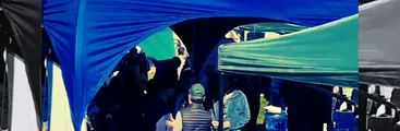Lo que no se quiere ver: árboles nativos para limpiar imagen de empresas en el Biobío