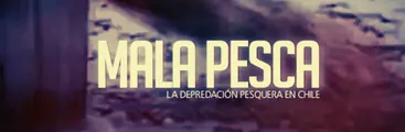 Mala Pesca: el documental que debes ver para entender el negocio de la depredación pesquera en Chile