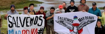 Institucionalidad ambiental y chilotes demandan declarar inválido permiso de ECOPOWER para Parque Eólico Chiloé por conducta maliciosa