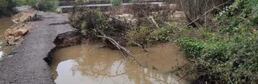 Particular cerró el paso: Vecinos se mantienen aislados y exigen al MOP reposición inmediata de puente en Hualqui