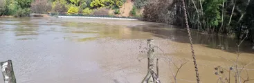 Vecinos encerrados por particular quedan aislados nuevamente tras crecida del río Quilacoya en Hualqui