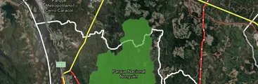 Anillo eléctrico amenazará a perpetuidad al extraordinario Parque Nacional Nonguén: Municipalidades acudirán al Tribunal Ambiental
