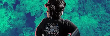 El dilema de un parque acorralado entre minería y forestales en Penco