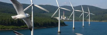 Golfo de Arauco: epicentro de proyectos eólicos marinos que abrirían nueva ola de expansión eléctrica